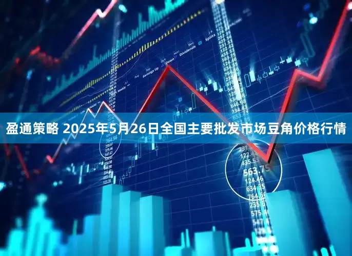 盈通策略 2025年5月26日全国主要批发市场豆角价格行情