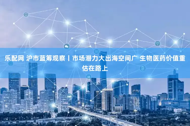 乐配网 沪市蓝筹观察丨市场潜力大出海空间广 生物医药价值重估在路上